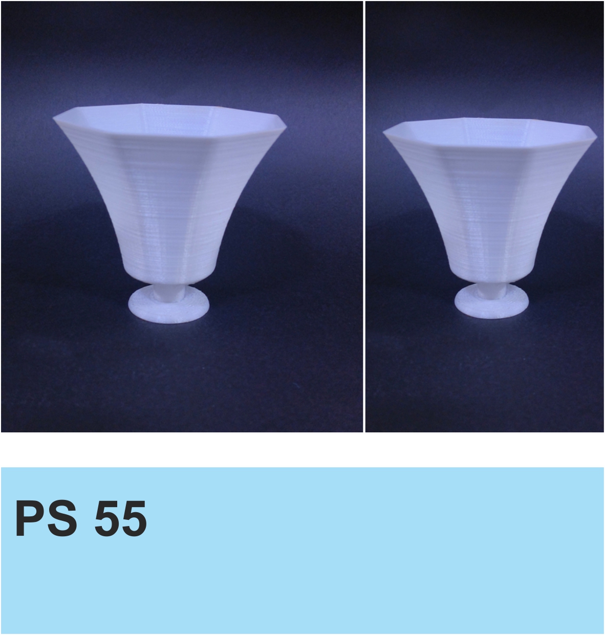 PS 55